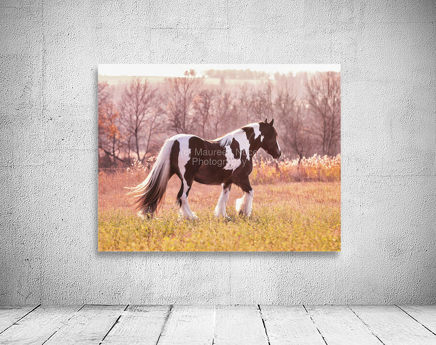 Sunlit Treasures Wall Preview