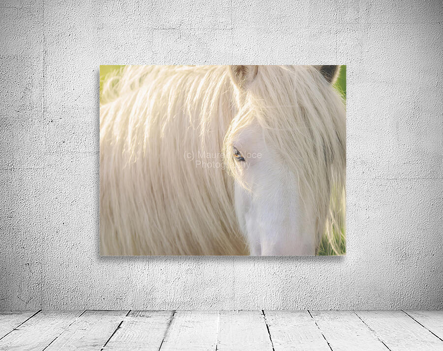 A Moment In Time Wall Preview