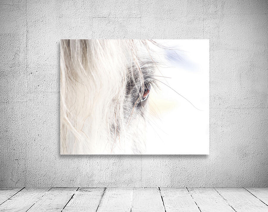 A Quiet Gaze Wall Preview