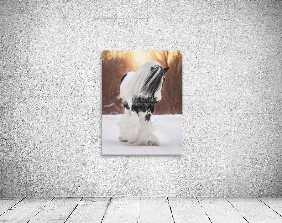 A winters Walk Wall Preview