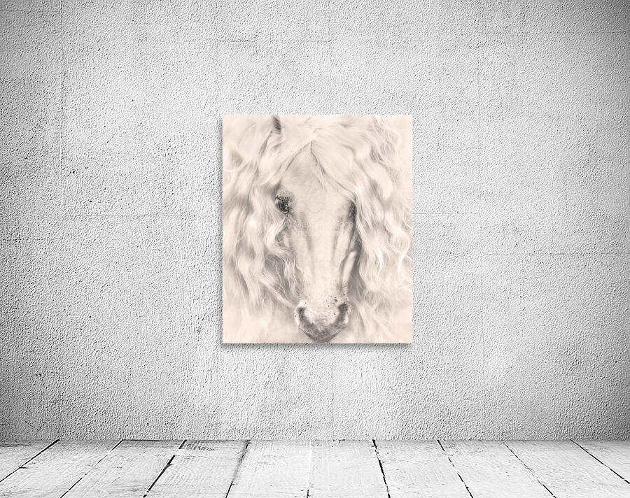 Dear Anna Wall Preview