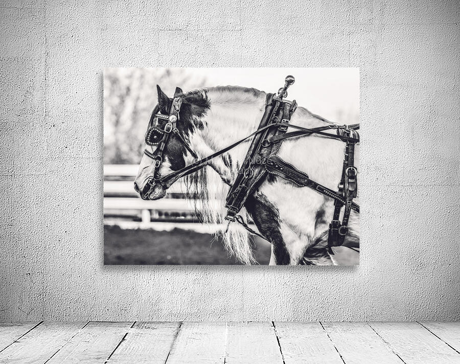 Determination Wall Preview