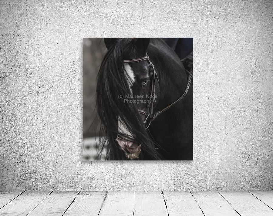 Discipline Wall Preview