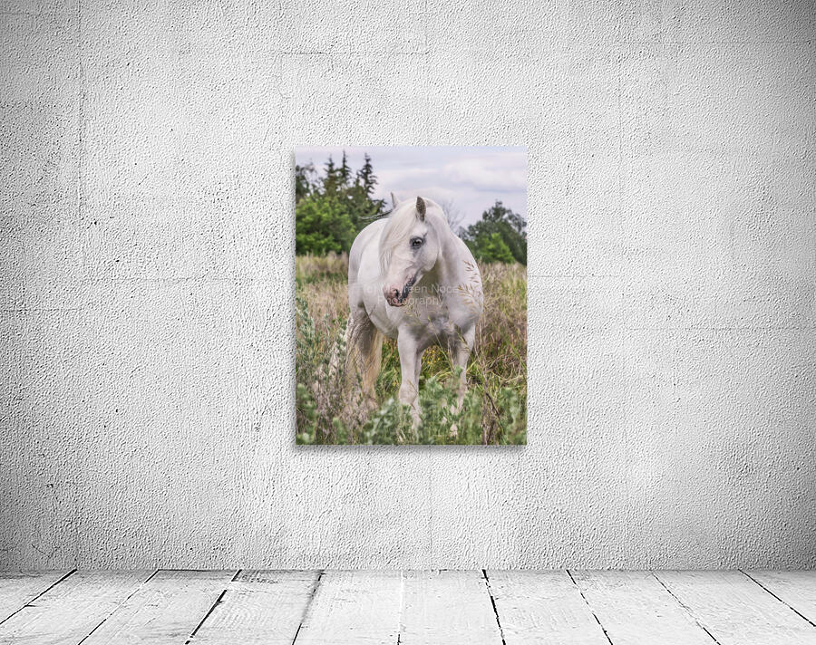 Wild Flower Wall Preview