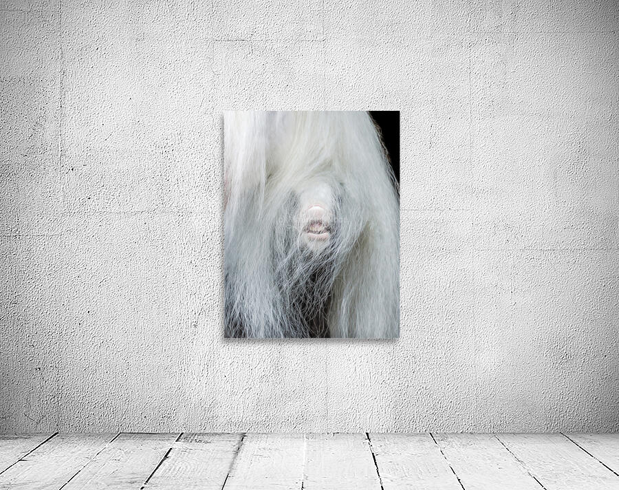 Having Fun Wall Preview