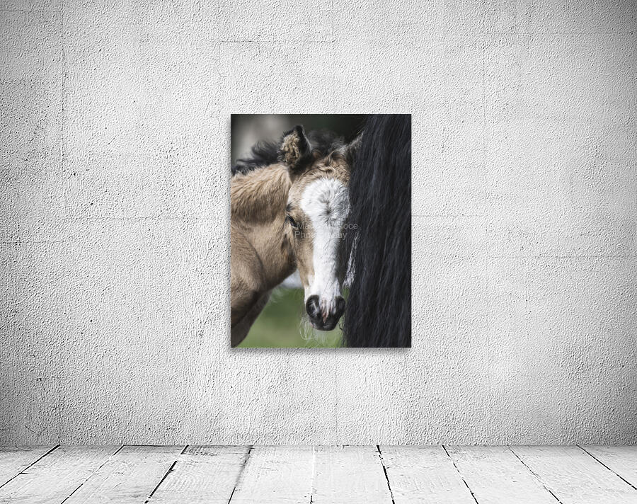 I See You Wall Preview