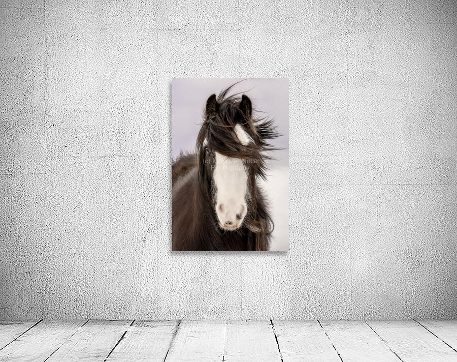 Unveiled Wall Preview