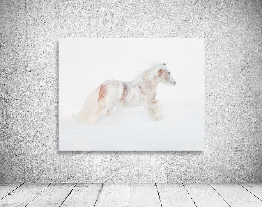 Ivory Passage Wall Preview