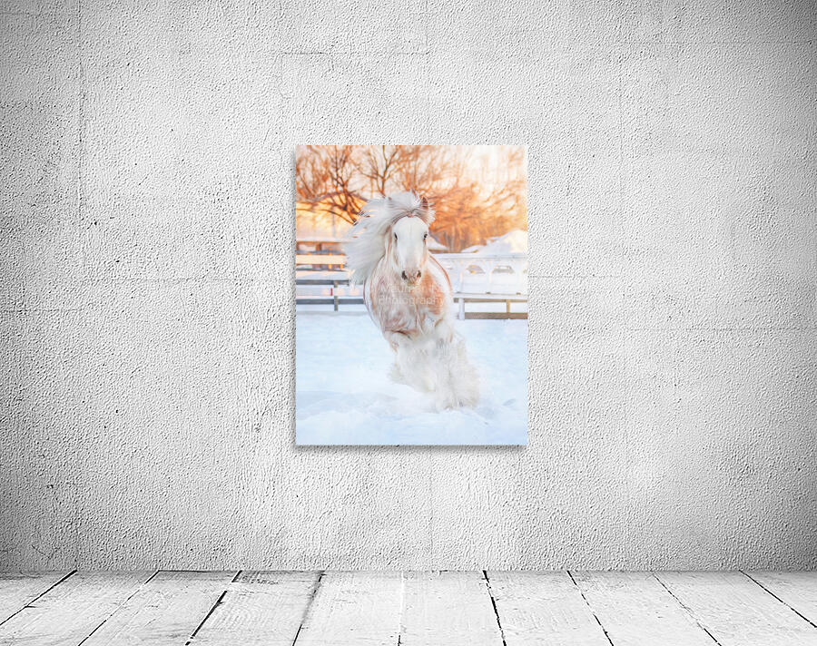 Throught the Silence Wall Preview