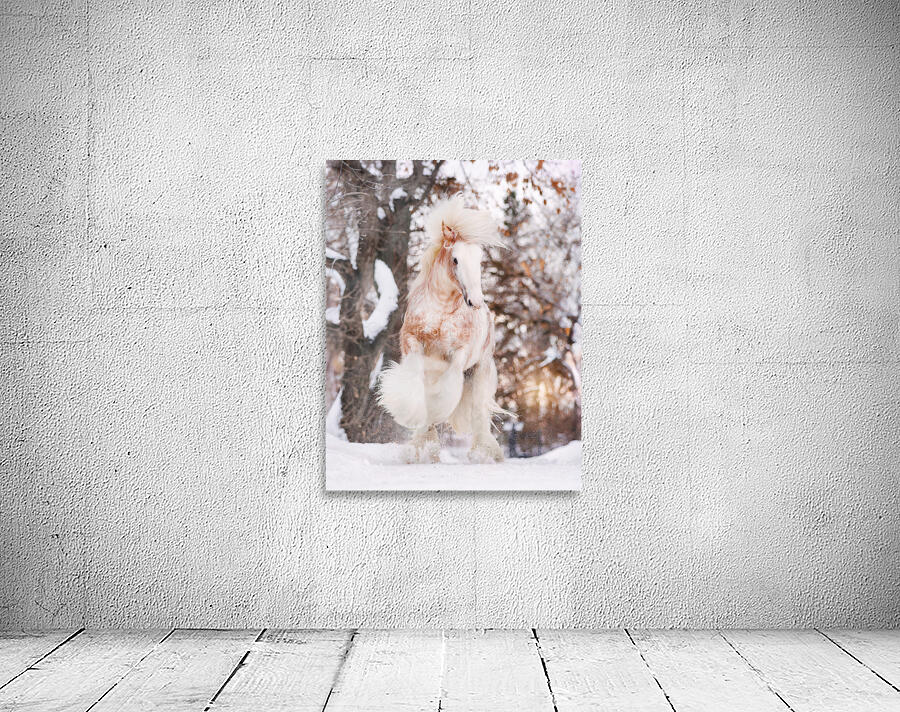 WinterLight Wall Preview