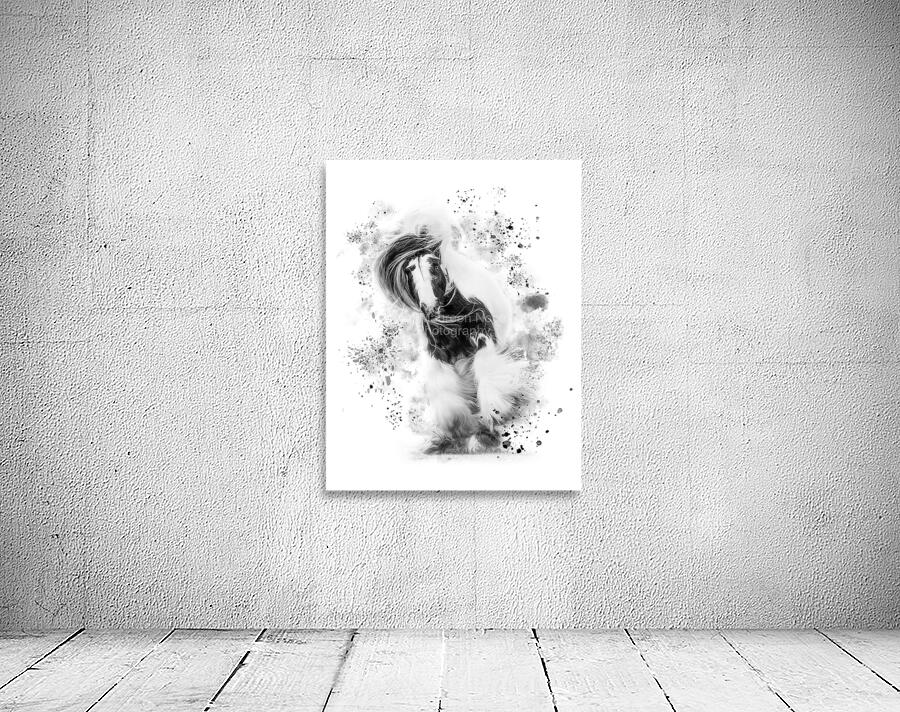 BreakFree Wall Preview