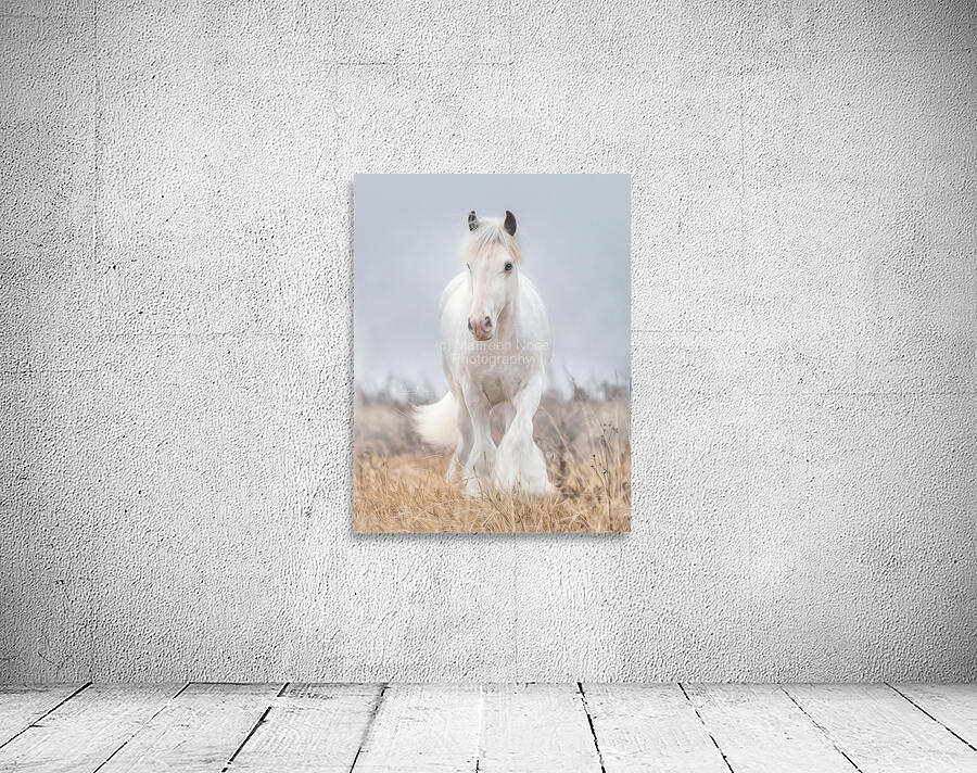 Dreamwalker Wall Preview