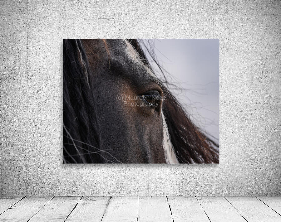 Unspoken Wall Preview