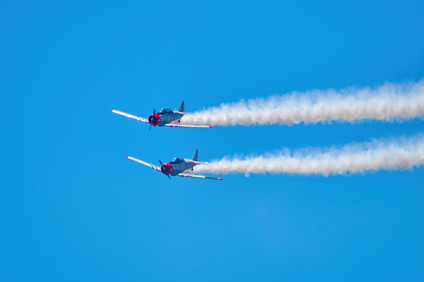 AT-6 Texans - 1 Digital Download