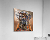 Steampunk LabMastiff Acrylic Print
