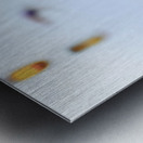 Tri Colored Heron Metal print