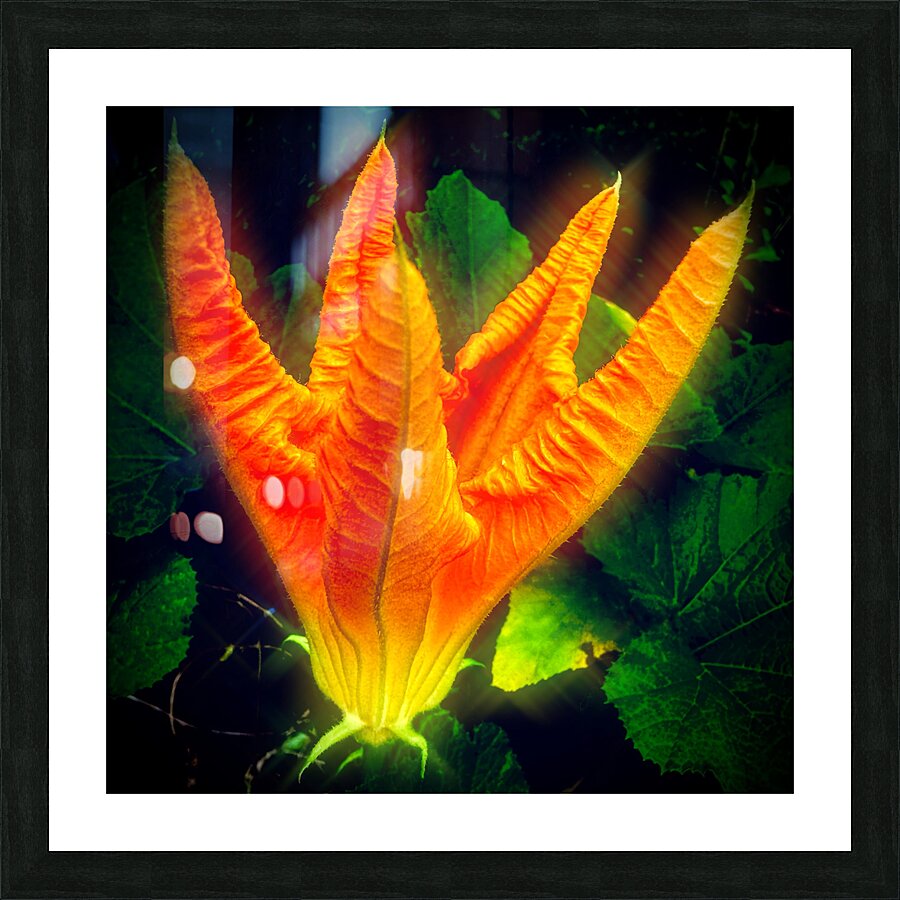 Phoenix Flower Picture Frame print