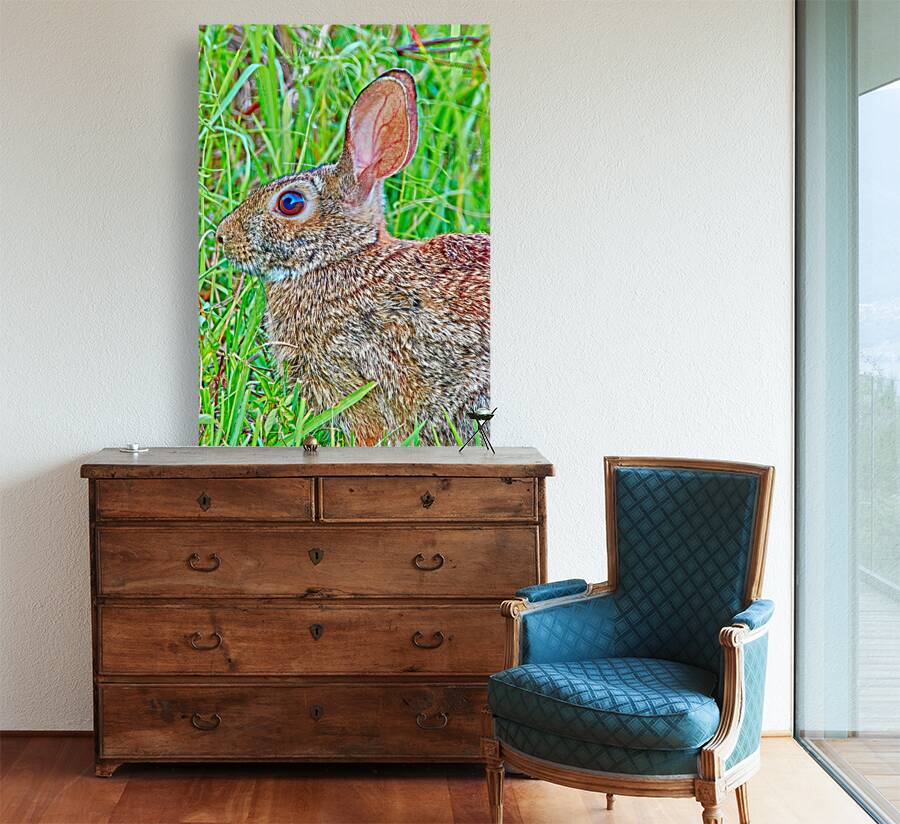 Peter Cottontail Reproduction