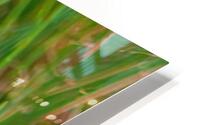 Spoone 1 HD Metal print