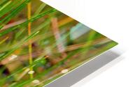 Spoonie 3 HD Metal print