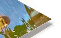 Mallard Ducklings HD Metal print