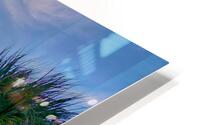 Dos Palmas HD Metal print
