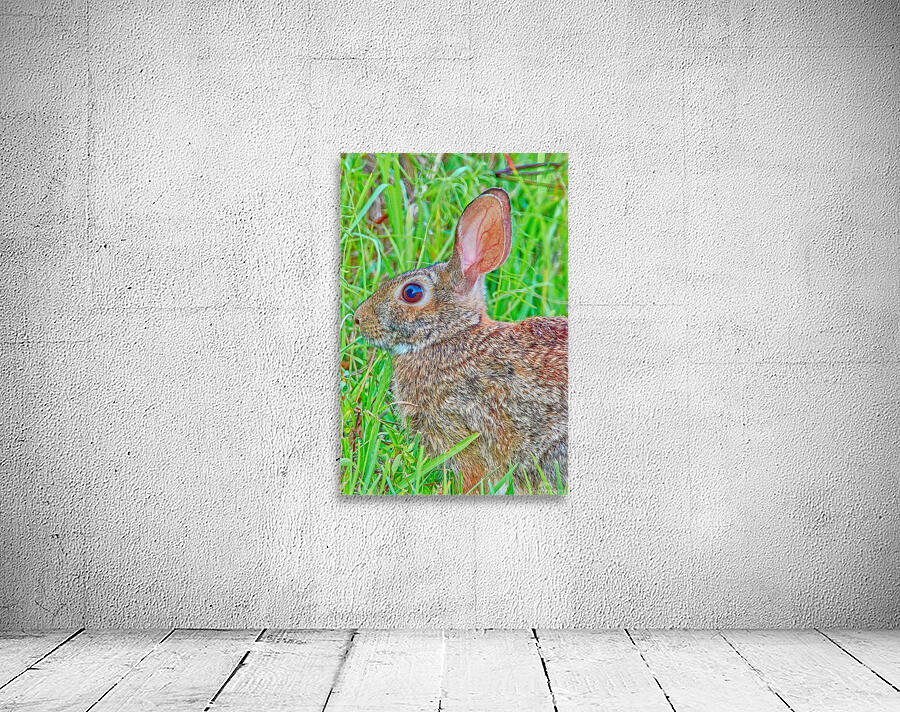 Peter Cottontail Wall Preview