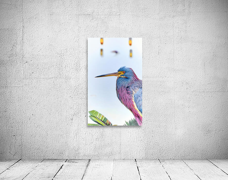 Tri Colored Heron Wall Preview