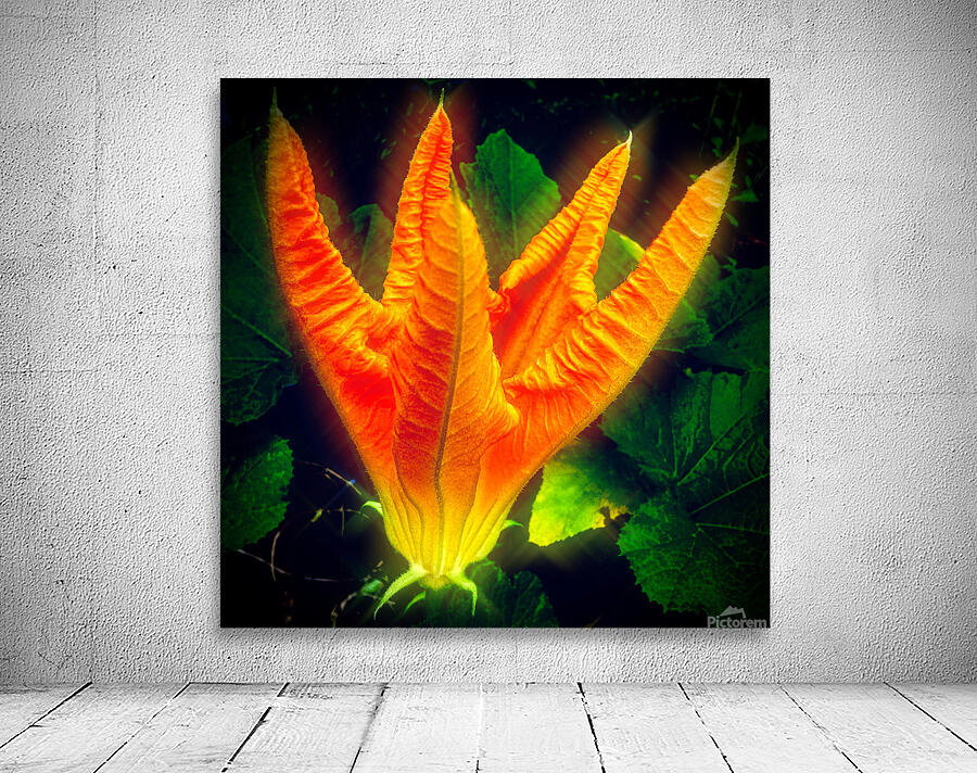 Phoenix Flower Wall Preview