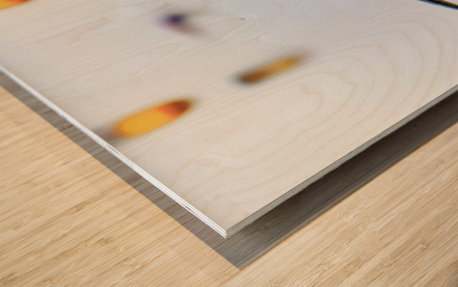 Tri Colored Heron Wood print