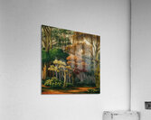 Tree wall backgrounds Acrylic Print
