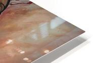 The Shawl  HD Metal print