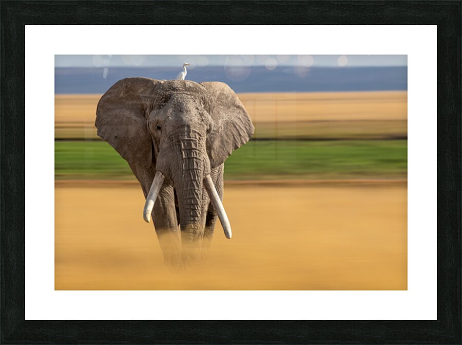 Free Ride Picture Frame print