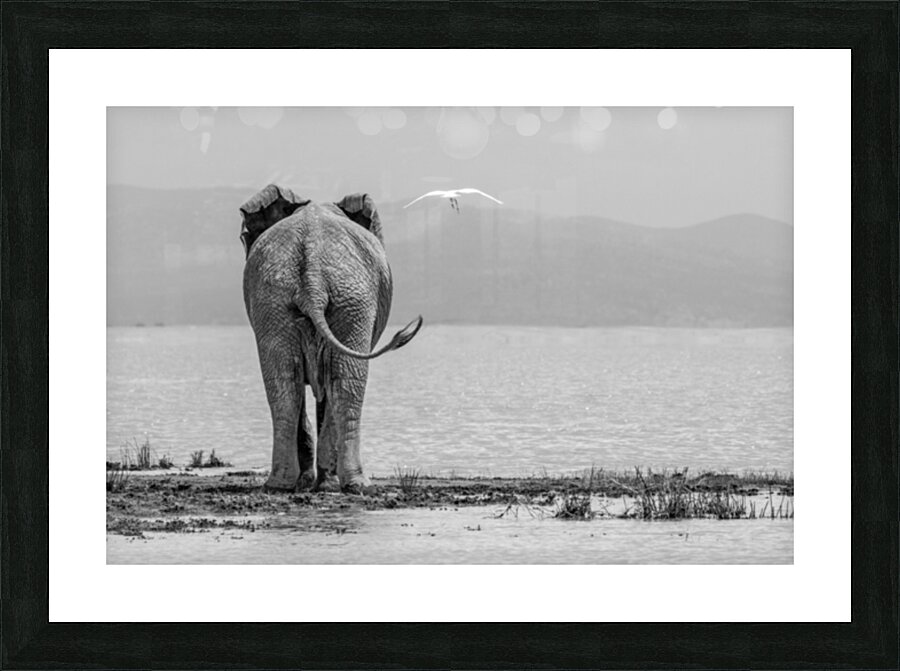 What A View Picture Frame print
