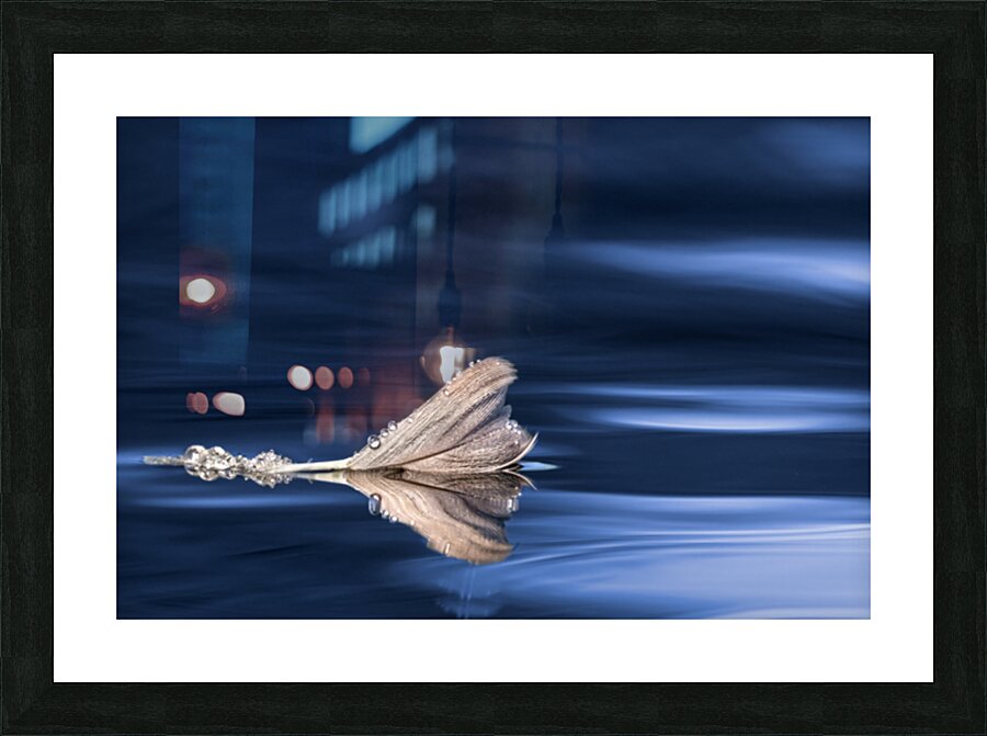 BlueFeather Picture Frame print