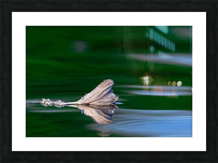 GreenFeather Picture Frame print