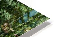 Bamboo Forrest HD Metal print