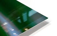 GreenFeather HD Metal print