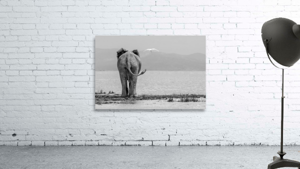 What A View Wall Preview