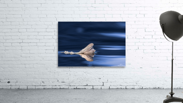 BlueFeather Wall Preview