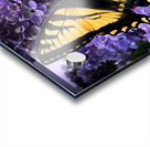 Swallow Tail Acrylic print