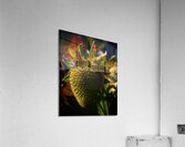 Strawberry Acrylic Print