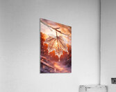 When Winter Lets Go Acrylic Print