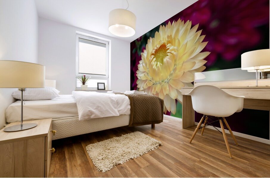 Strawflower Mural print