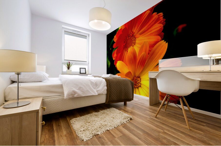 Calendula Mural print
