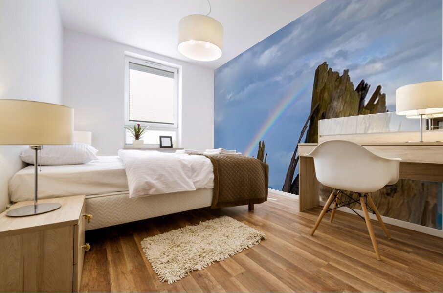 Rainbow Drift Mural print