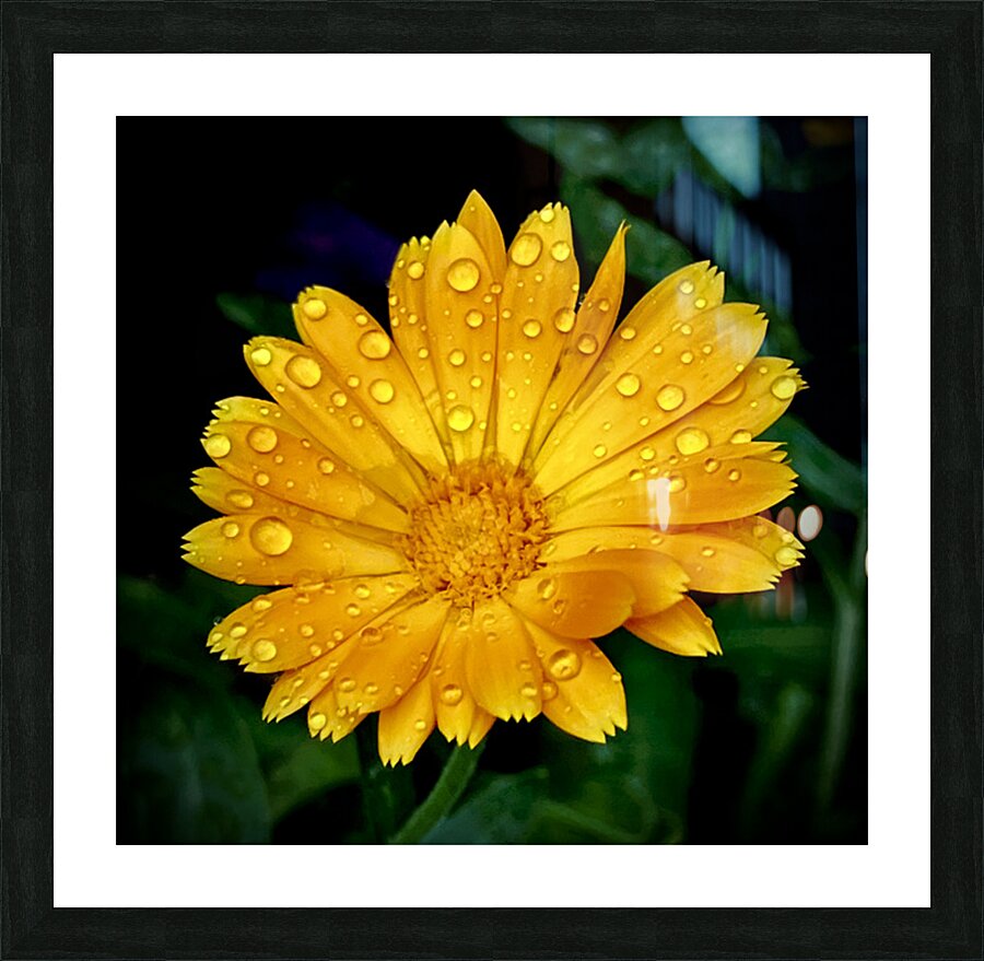 After the Rain Picture Frame print