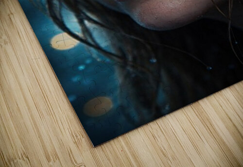 Where Light Finds Her Yvonne Rudiger puzzle