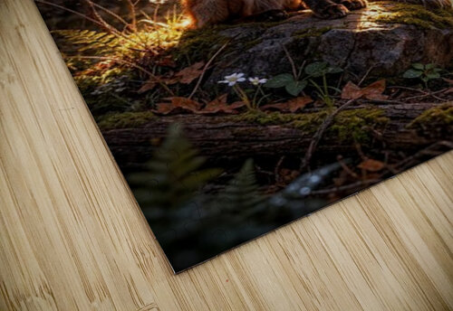 The Sunspell Pact Yvonne Rudiger puzzle