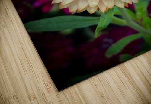 Strawflower Yvonne Rudiger puzzle